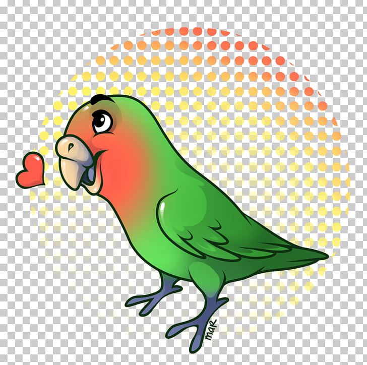 Parrot Budgerigar Lovebird Parakeet Macaw PNG, Clipart, Animal, Animals, Artwork, Beak, Bird Free PNG Download