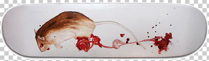 Roadkill Triptych Columbidae Brown Rat Death PNG, Clipart, Bicycle, Brown Rat, Cap, Columbidae, Death Free PNG Download
