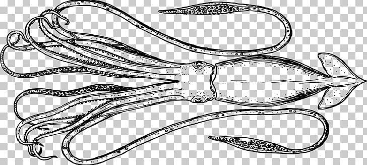 Cephalopod Squid Line Art PNG, Clipart, Animal, Black And White, Body Jewelry, Cartoon, Domain Free PNG Download