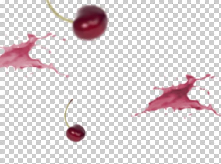 Cranberry Cherry Close-up Auglis PNG, Clipart, Auglis, Berry, Cherry, Closeup, Cranberry Free PNG Download