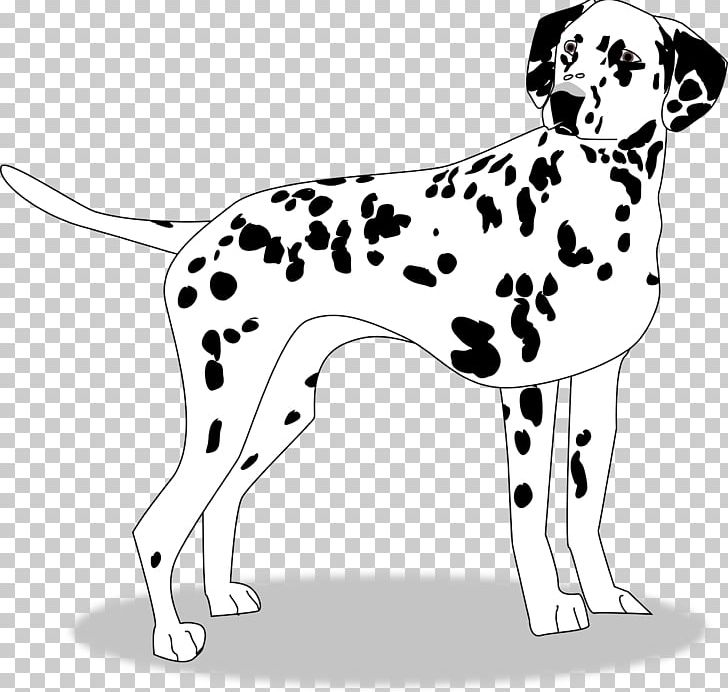 Dalmatian Dog Puppy Dog Breed Companion Dog PNG, Clipart, Animals, Black And White, Breed, Canine, Carnivoran Free PNG Download