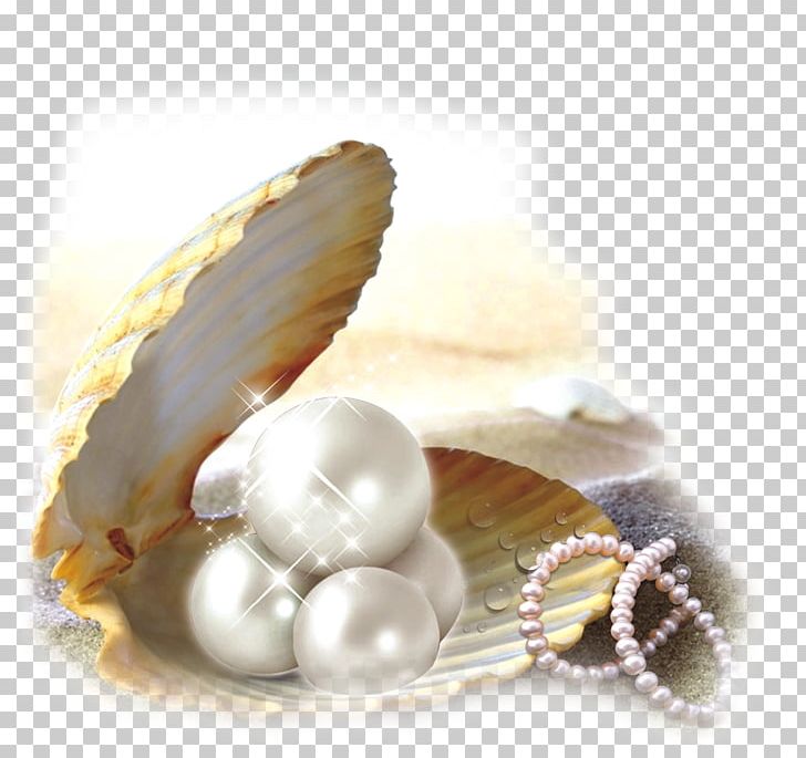 Pearl BK OF ELDERS Oyster Seashell PNG, Clipart, Charles Spurgeon, Christianity, Crucifixion, Crucifixion Of Jesus, Elders Free PNG Download