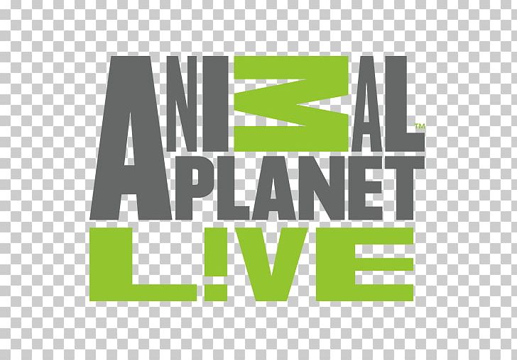 Animal Planet Live Logo Livestream Television PNG, Clipart, Animal, Animal  Planet, Animal Planet Live, Animal Planet