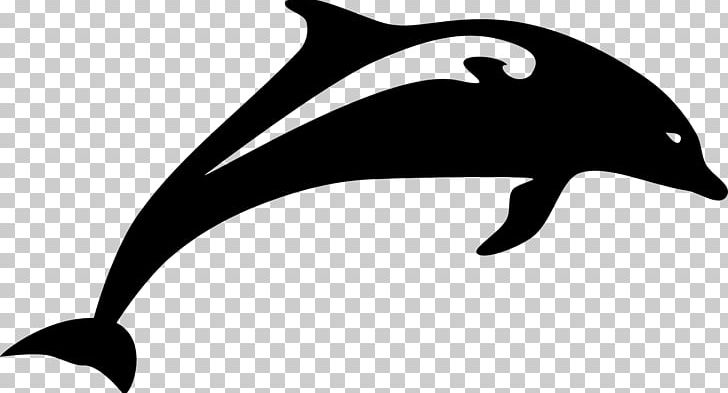 Dolphin PNG, Clipart, Animals, Artwork, Beak, Black, Black And White Free PNG Download