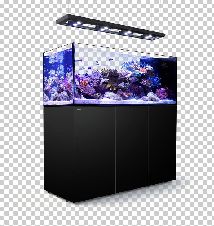 Red Sea REEFER Peninsula Reef Aquarium PNG, Clipart, Aquarium, Aquarium Lighting, Coral, Coral Reef, Liter Free PNG Download