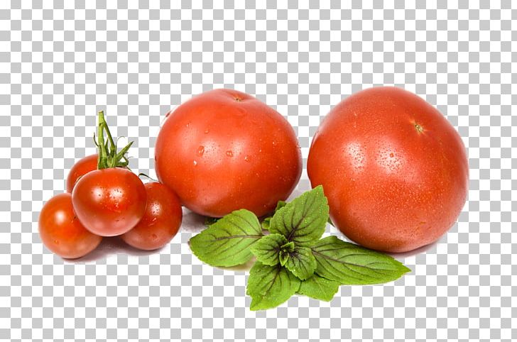 Vegetable Tomato Fruits Et Lxe9gumes Food PNG, Clipart, Apricot, Bush Tomato, Fruit, Happy Birthday Vector Images, Natural Foods Free PNG Download