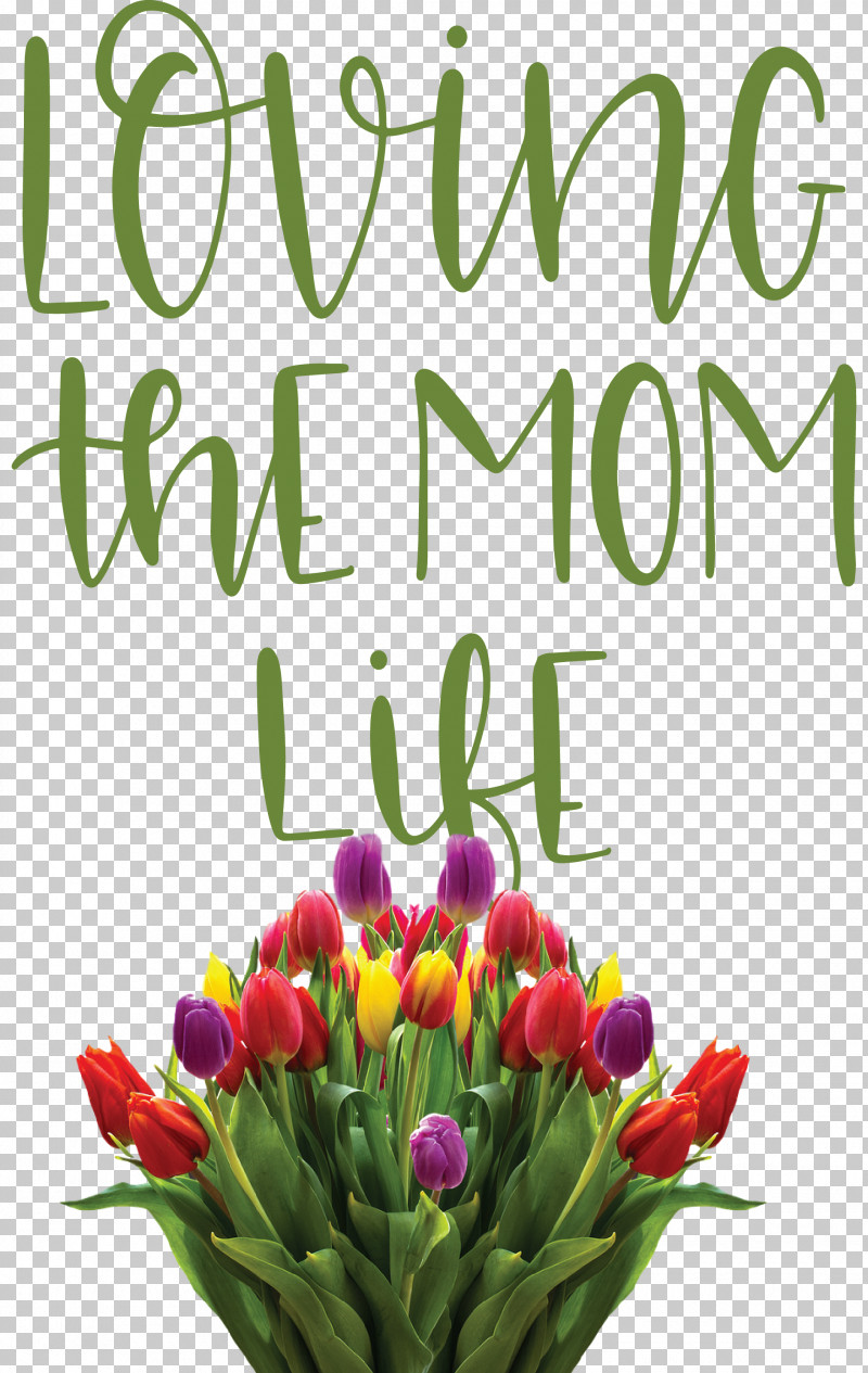 Mothers Day Mothers Day Quote Loving The Mom Life PNG, Clipart, Biology, Cut Flowers, Floral Design, Flower, Meter Free PNG Download