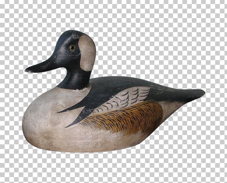 Mallard Goose Duck Fauna Beak PNG, Clipart, Animals, Beak, Bird, Decoy, Duck Free PNG Download