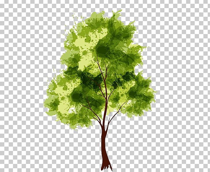 Watercolor Painting Drawing Tree PNG, Clipart, Branch, Drawing, Graphic