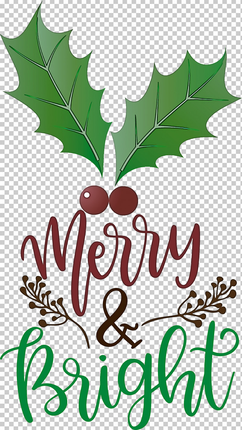 Merry And Bright PNG, Clipart, Biology, Fruit, Leaf, Merry And Bright, Picture Frame Free PNG Download
