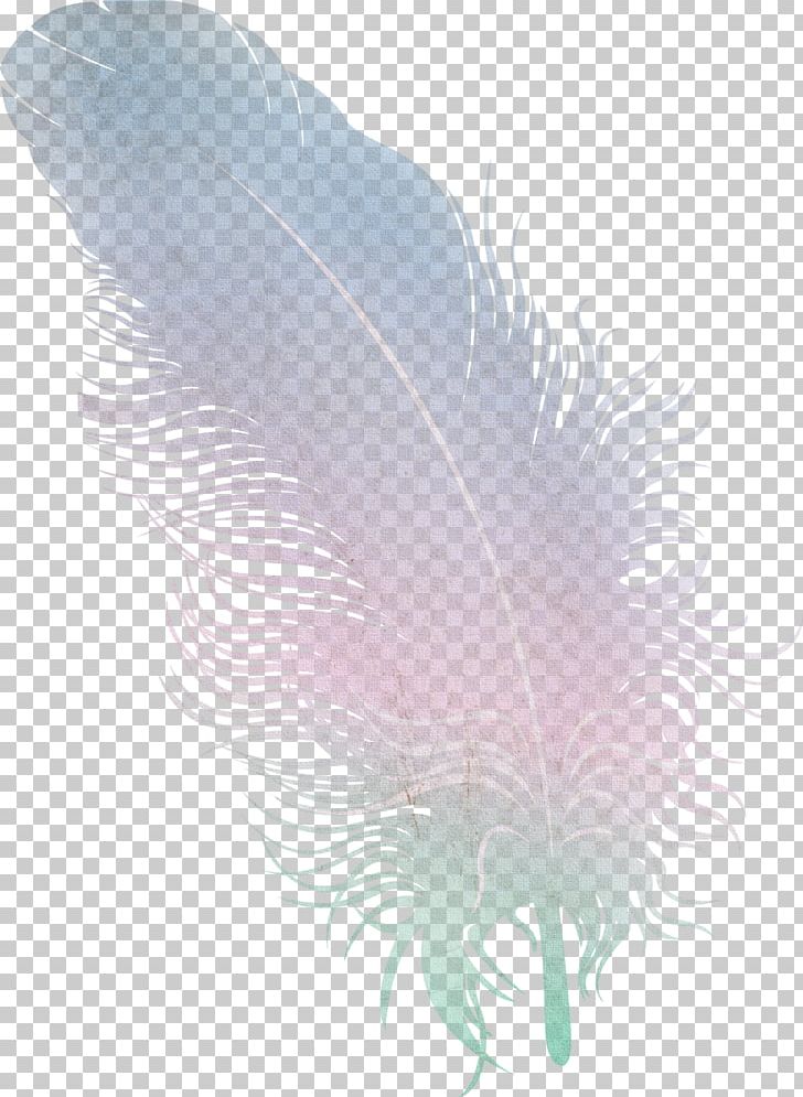 Feather Wing PNG, Clipart, Animals, Animation, Download, Drawing, Feather Free PNG Download