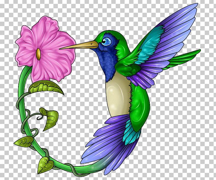 Hummingbird Beak Wing Feather PNG, Clipart, Albino, Animals, Art, Beak, Bird Free PNG Download