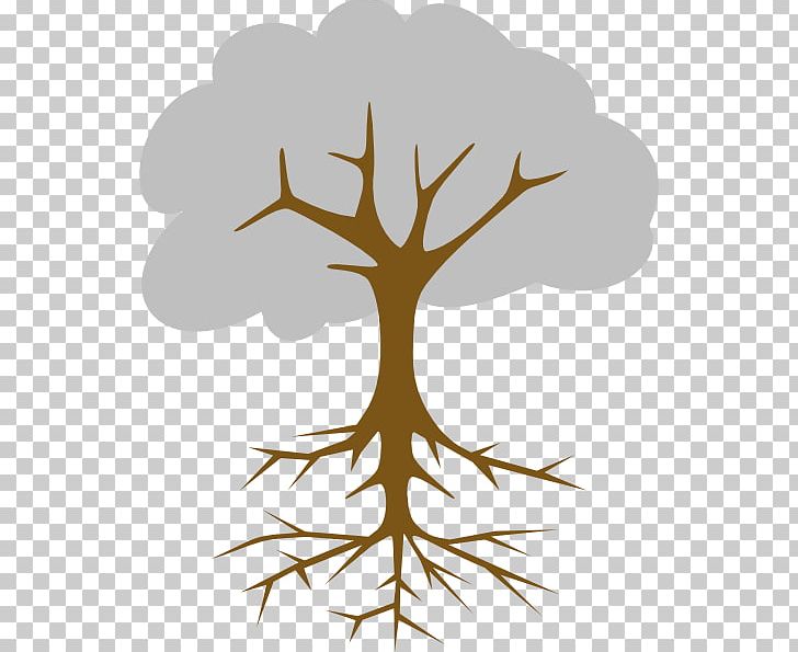 Root Cause Analysis Tree Branch PNG, Clipart, Antler, Branch, Causality, Drawing, Flower Free PNG Download