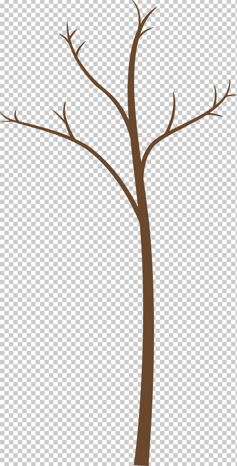 Branch Twig Leaf Plant Plant Stem PNG, Clipart, Abstract Tree, Branch, Cartoon Tree, Flower, Leaf Free PNG Download