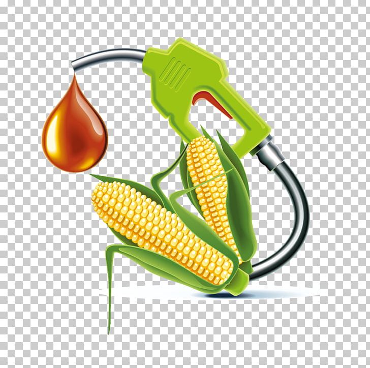 Algae Fuel Biofuel Biodiesel PNG, Clipart, Abstract Pattern, Corn, Corn Oil, Corn Vector, Geometric Pattern Free PNG Download