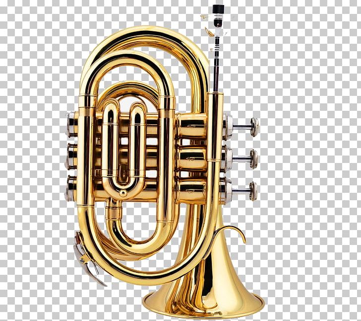 Cornet Trumpet Mellophone Flugelhorn Saxhorn PNG, Clipart, Alto Horn, Brass, Brass Instrument, Brass Instruments, Bugle Free PNG Download