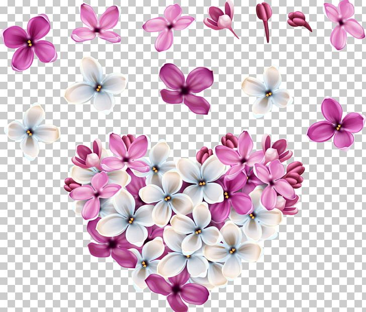Flower Lilac PNG, Clipart, 3d Computer Graphics, Blossom, Cherry Blossom, Clip Art, Computer Software Free PNG Download