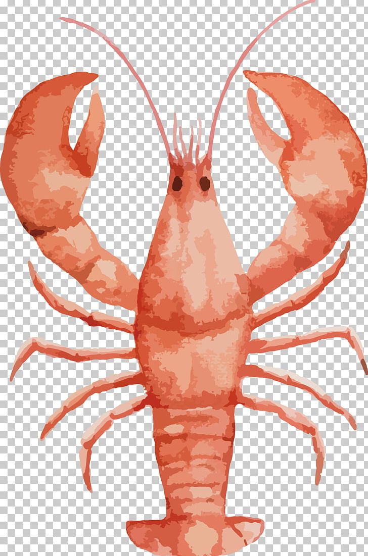 Lobster Watercolor Painting Seafood Drawing PNG, Clipart, Animals, Animal Source Foods, Art, Claw, Crab Free PNG Download