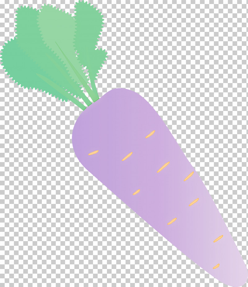 Carrot PNG, Clipart, Biology, Carrot, Geometry, Lavender, Leaf Free PNG Download
