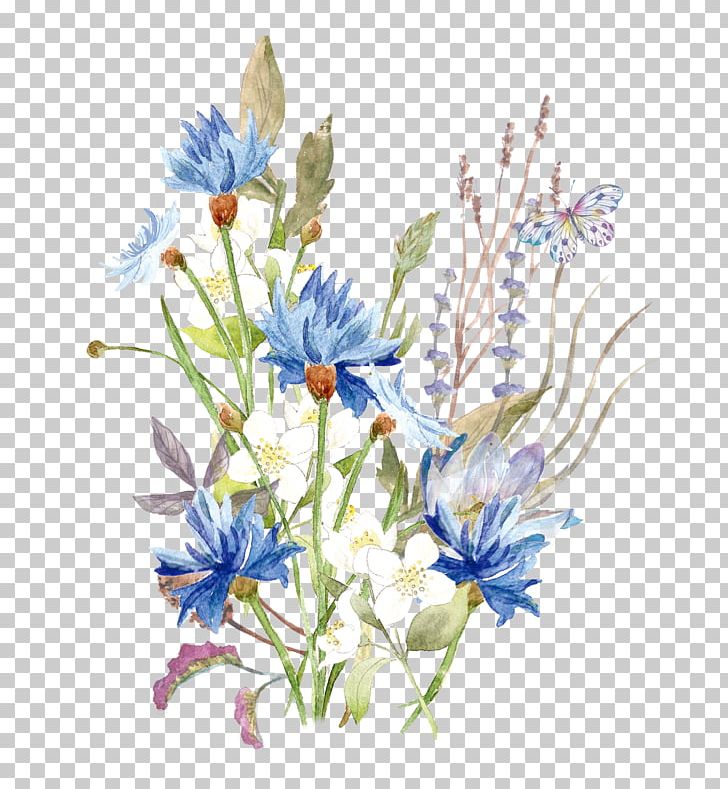 Watercolor Painting Portable Network Graphics Floral Design Graphics PNG, Clipart, Art, Chicory, Cut Flowers, Decorative Watercolor, Download Free PNG Download