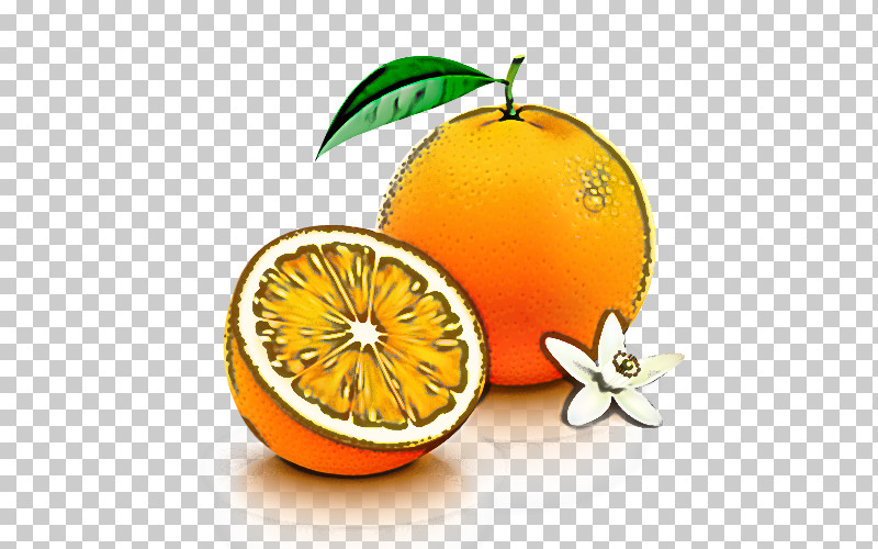 Orange PNG, Clipart, Bitter Orange, Citrus, Fruit, Grapefruit, Mandarin Orange Free PNG Download