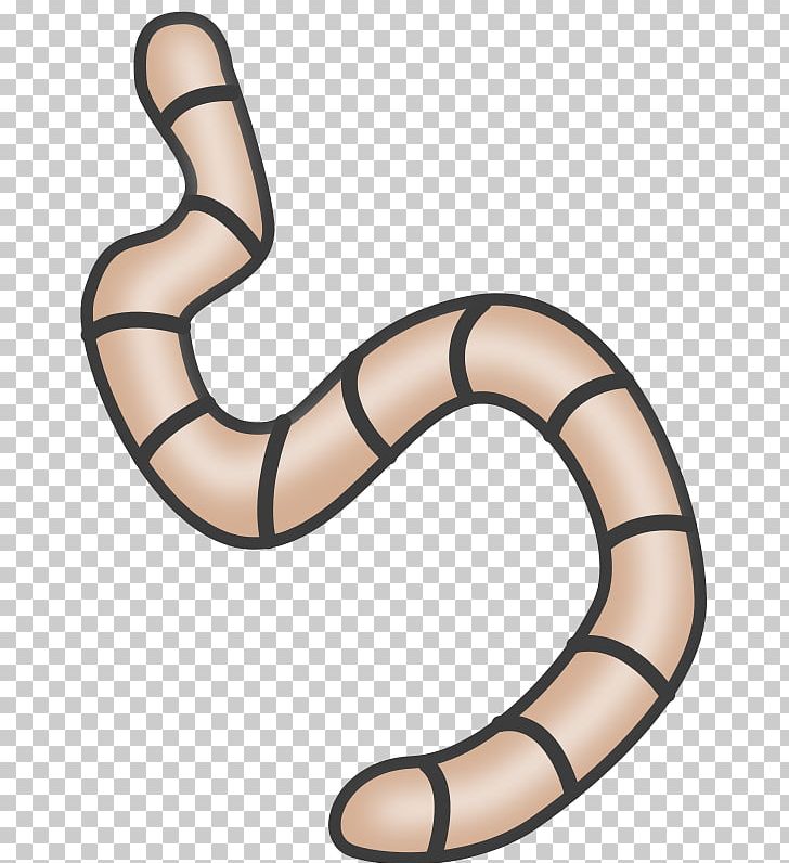 Earthworm PNG, Clipart, Clip Art, Earthworm, Free Content, Invertebrate, Line Free PNG Download