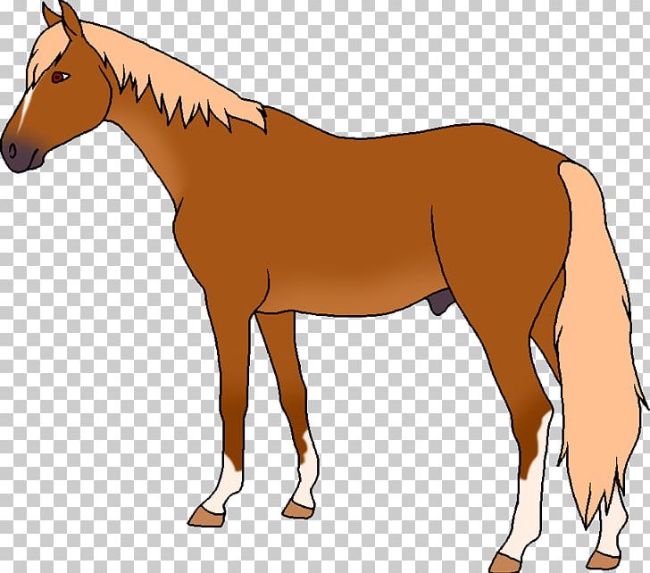Mule Foal Stallion Pony Colt PNG, Clipart, Bridle, Colt, Fauna, Foal, Halter Free PNG Download