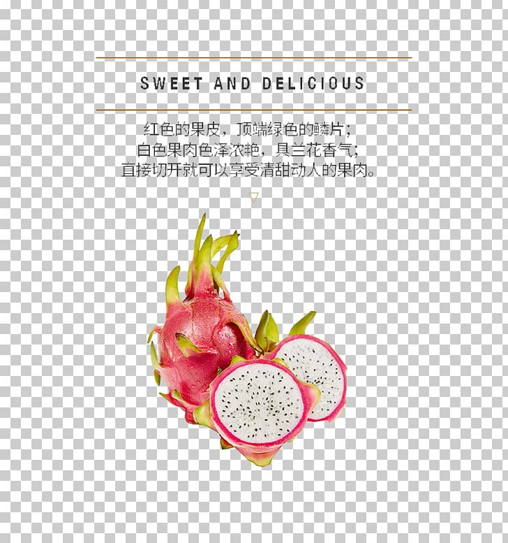 Pitaya Strawberry Computer File PNG, Clipart, Car Profile, Chinese Herbology, Company Profile, Company Profile Design, Company Profile Design Template Free PNG Download