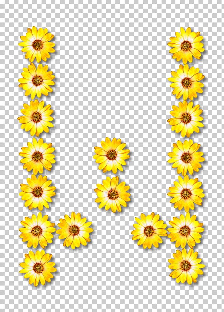 Common Sunflower Alphabet Letter PNG, Clipart, Alphabet, Common Sunflower, Cut Flowers, Daisy Family, Floral Free PNG Download