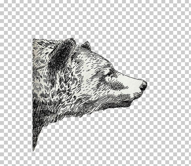 Drawing Grizzly Bear Sketch PNG, Clipart, Art, Bear, Black And White, Carnivoran, Dog Like Mammal Free PNG Download