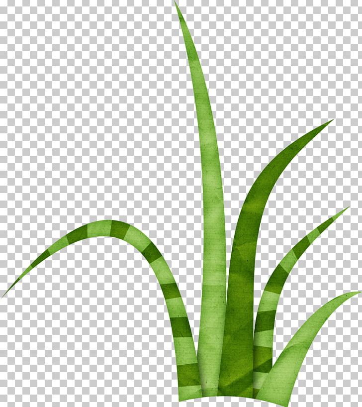 Lawn PNG, Clipart, Birthday, Candle, Flowerpot, Garden, Grass Free PNG Download