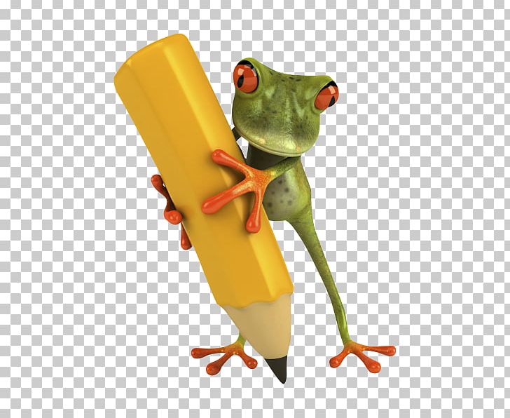 Yellow-banded Poison Dart Frog Rhacophorus Reinwardtii PNG, Clipart, Amphibian, Animals, Flying Frog, Frog, Graphic Design Free PNG Download