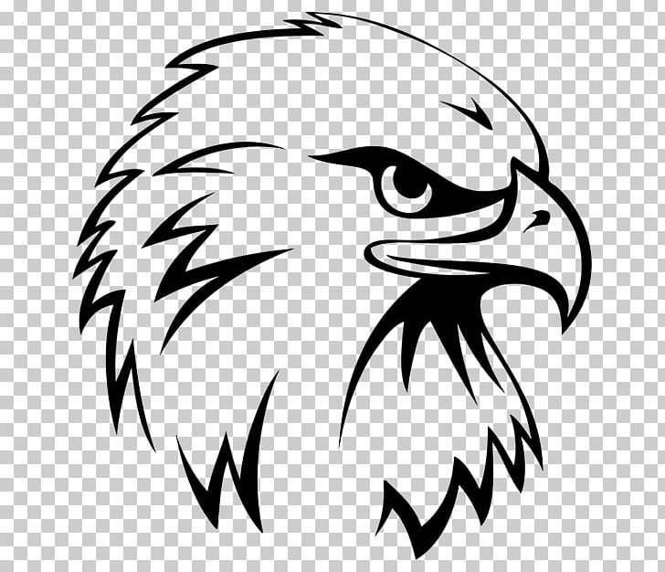 Bald Eagle Drawing Eagle Sports PNG, Clipart, Accipitridae, Animals, Art, Artwork, Beak Free PNG Download