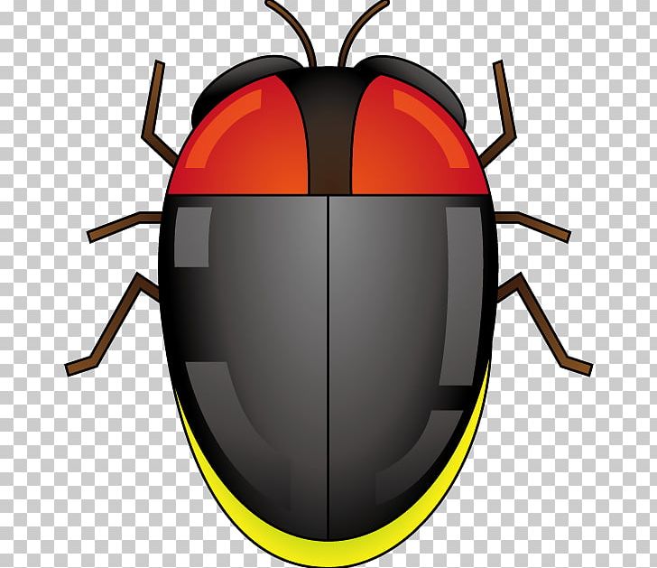 Beetle Product Design PNG, Clipart, Beetle, Insect, Insect Wing, Invertebrate, Membrane Winged Insect Free PNG Download