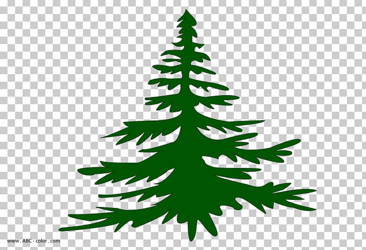 Christmas Tree Spruce Fir Christmas Ornament Pine PNG, Clipart, Album, Branch, Branching, Christmas, Christmas Decoration Free PNG Download