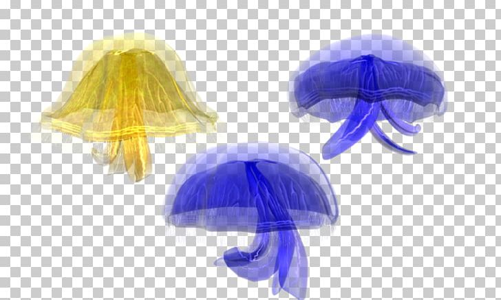 Jellyfish Marine Invertebrates PNG, Clipart, Animation, Blue, Coral, Download, Fantasy Free PNG Download