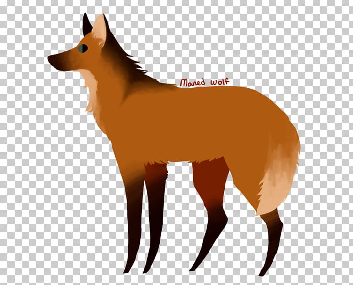 Red Fox Dog Breed Snout PNG, Clipart, Animals, Breed, Carnivoran, Dog, Dog Breed Free PNG Download