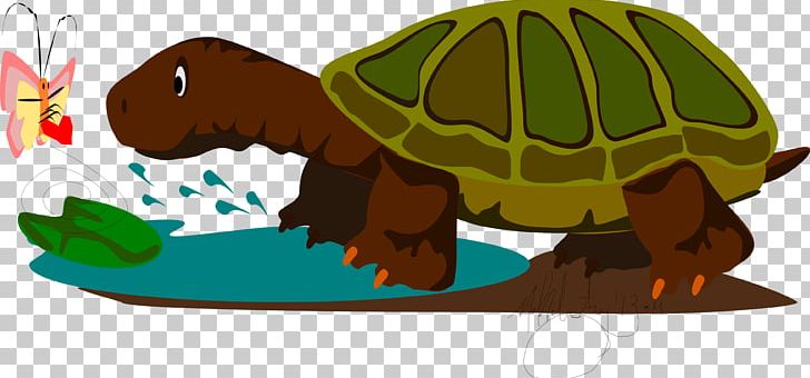 Tortoise Terrestrial Animal PNG, Clipart, Animal, Fauna, Nella, Organism, Others Free PNG Download