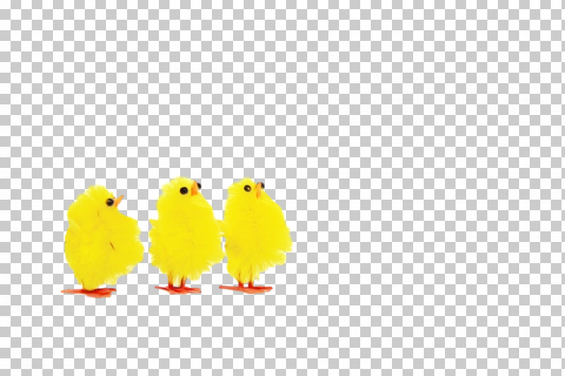 Yellow Cartoon Beak Bird Chicken PNG, Clipart, Animal Figure, Animation, Beak, Bird, Cartoon Free PNG Download