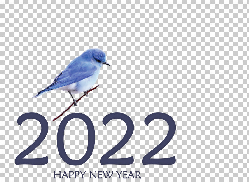 2022 Happy New Year 2022 New Year 2022 PNG, Clipart, Beak, Biology, Birds, Feather, Meter Free PNG Download
