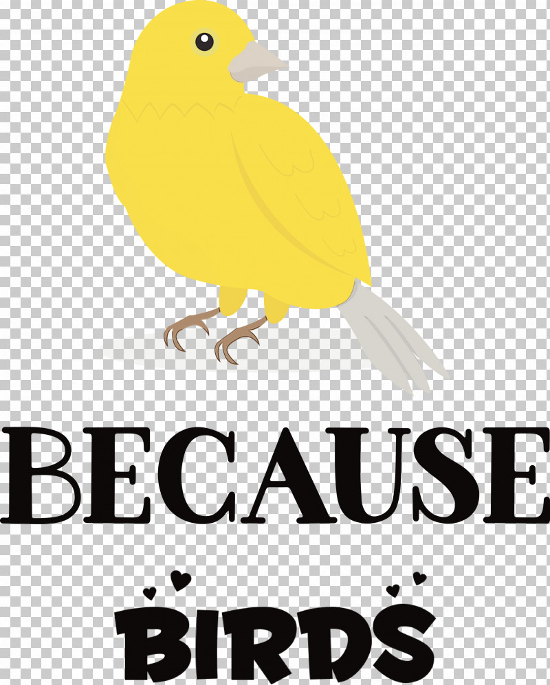 Birds Logo Beak Meter Yellow PNG, Clipart, Animal, Beak, Biology, Bird, Birds Free PNG Download