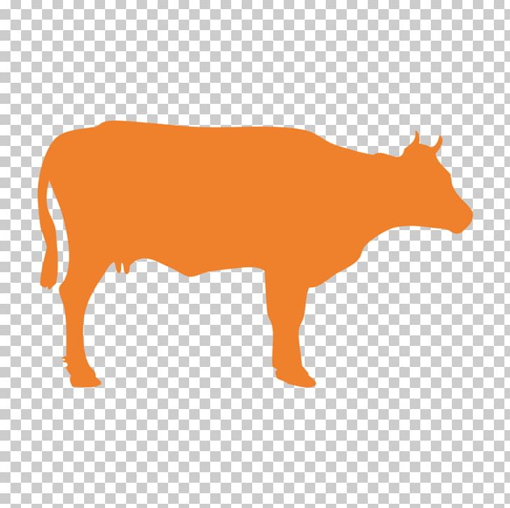 Holstein Friesian Cattle Welsh Black Cattle White Park Cattle Hereford Cattle Beef Cattle PNG, Clipart, Animal Figure, Beef Cattle, Bull, Carnivoran, Cat Free PNG Download