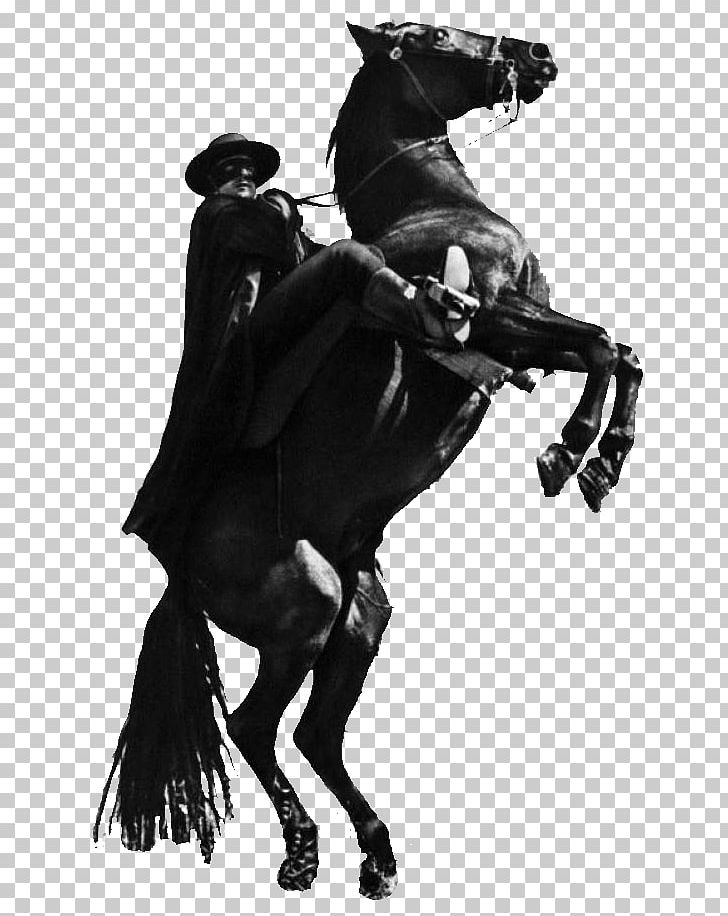 Zorro Tornado Photography Film Television PNG, Clipart, Black And White, Bridle, English Riding, Equestrian, Film Free PNG Download