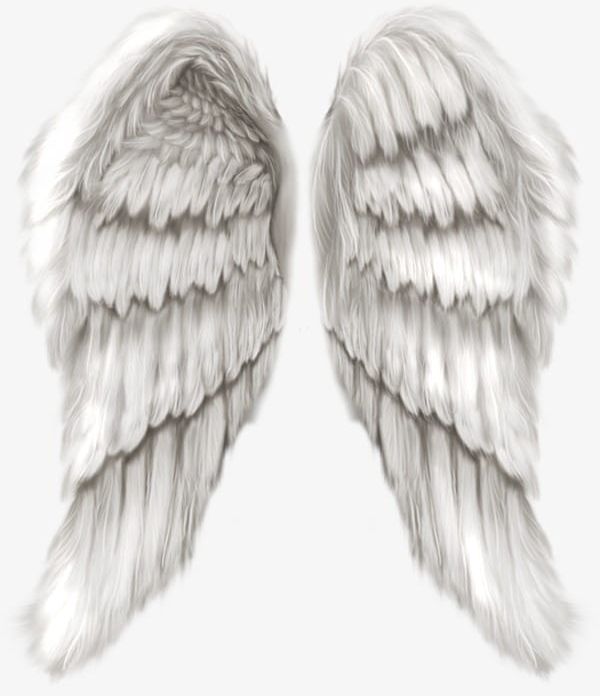 Angel Wings PNG, Clipart, Angel, Angel Clipart, Angel Wings, Backgrounds, Close Up Free PNG Download