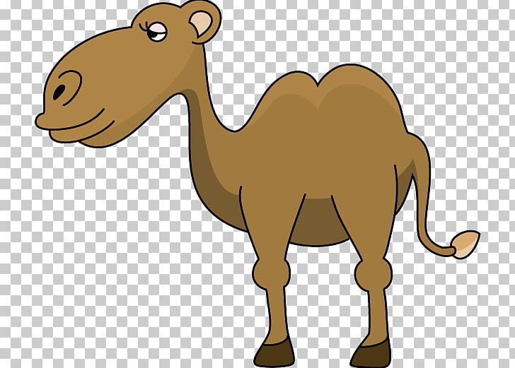 Camel PNG, Clipart, Animal Figure, Animals, Arabian Camel, Art, Blog Free PNG Download