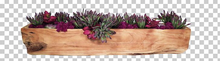 Cut Flowers Purple Violet Magenta PNG, Clipart, Amethyst, Cluster, Cut Flowers, Flower, Flowerpot Free PNG Download