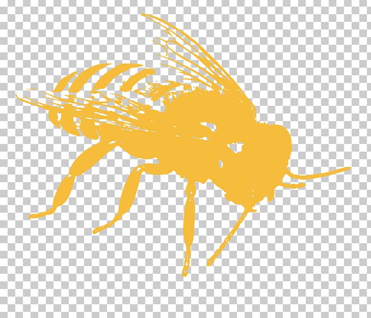 Honey Bee Pollinator Pollination Computer Icons PNG, Clipart, Arthropod, Bee, Computer Icons, Conservation, Directory Free PNG Download
