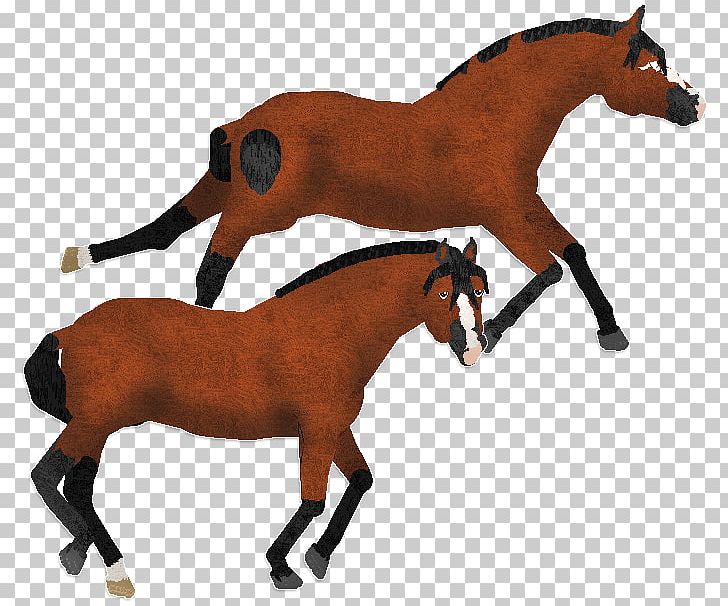 Mustang Foal Stallion Mare Colt PNG, Clipart,  Free PNG Download