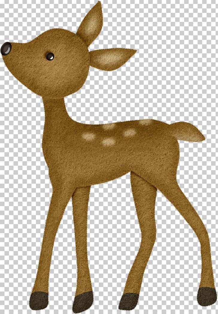 Reindeer Tiger Elk PNG, Clipart, Animal, Animals, Antler, Bro, Brown Background Free PNG Download