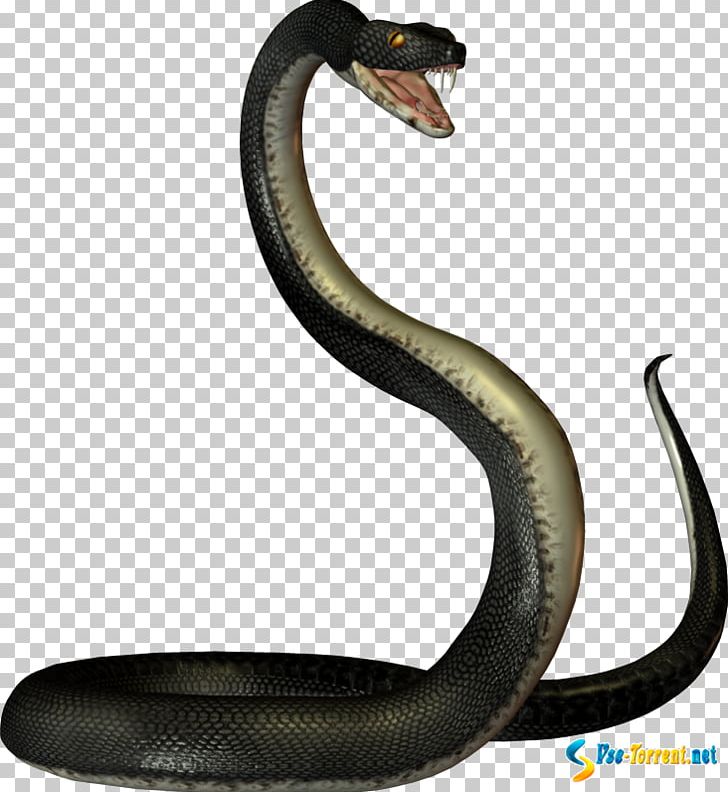 Snakes PNG, Clipart, 3d Computer Graphics, Animal Figure, Cobra, Computer Software, Elapidae Free PNG Download